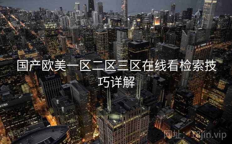 国产欧美一区二区三区在线看检索技巧详解 第2张 国产欧美一区二区三区在线看检索技巧详解 第2张