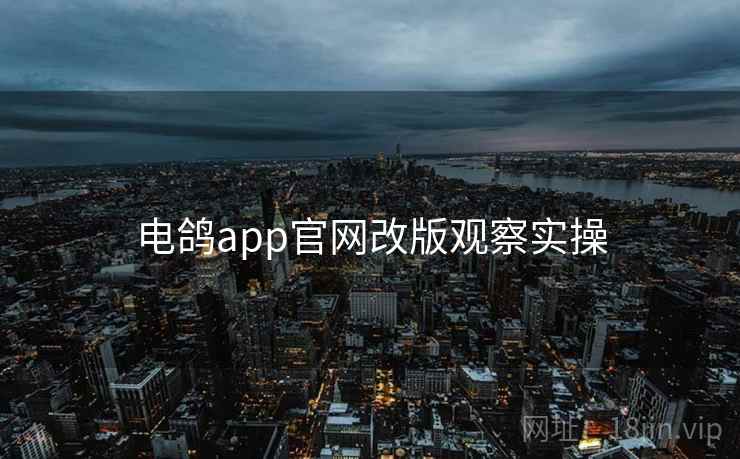 电鸽app官网改版观察实操 第2张 电鸽app官网改版观察实操 第2张