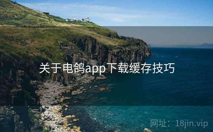 关于电鸽app下载缓存技巧 第2张 关于电鸽app下载缓存技巧 第2张