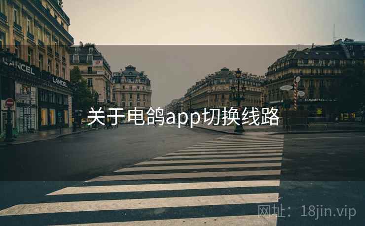 关于电鸽app切换线路 第2张 关于电鸽app切换线路 第2张