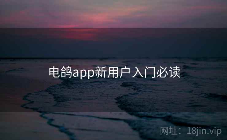 电鸽app新用户入门必读 第2张 电鸽app新用户入门必读 第2张