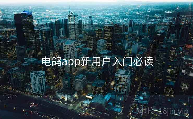 电鸽app新用户入门必读 第1张 电鸽app新用户入门必读 第1张