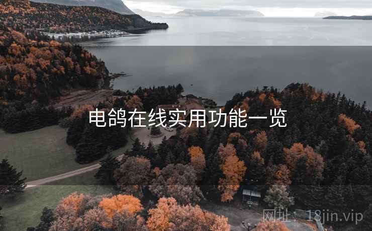 电鸽在线实用功能一览 第1张 电鸽在线实用功能一览 第1张