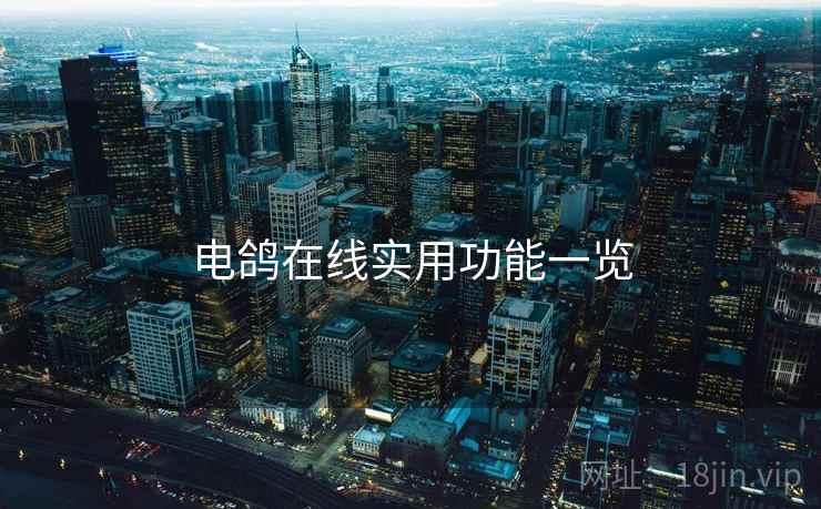 电鸽在线实用功能一览 第2张 电鸽在线实用功能一览 第2张